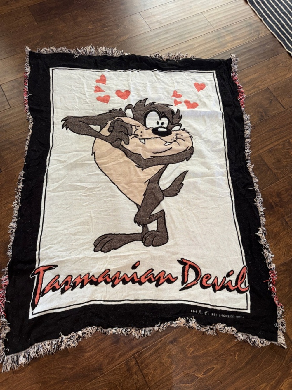 Vintage 1993 Tasmanian Devil Throw Blanket